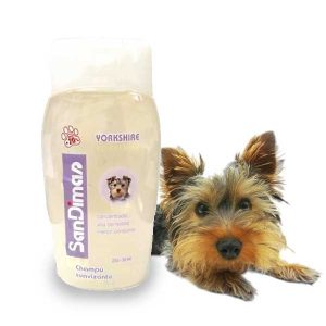 Champú Yorkshire Terrier San Dimas