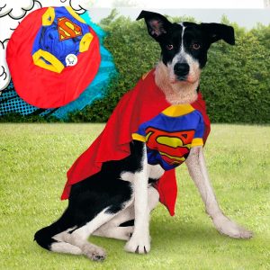 Disfraz para Mascotas Superman