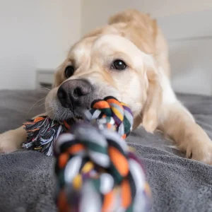 Juguete de cuerda para perro